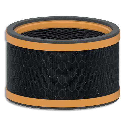 LEITZ TruSens Filtre à Charbon de Rechange, anti-odeur et anti C.O.V, pour Z-1000, 2415122