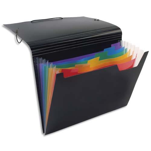 [706282] VIQUEL Trieur ménager RAINBOW en polypropylène 7/10. 6 compartiments. Noir intérieur couleur