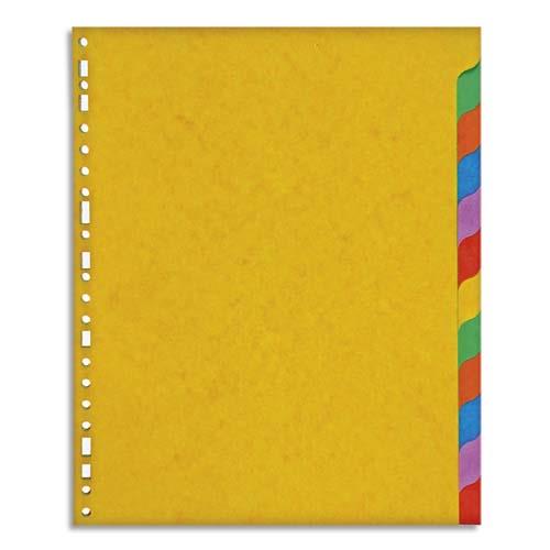 [962450] Jeu d'intercalaires 12 positions en carte lustrée supérieure 225g, 3/10e. Format A4+.