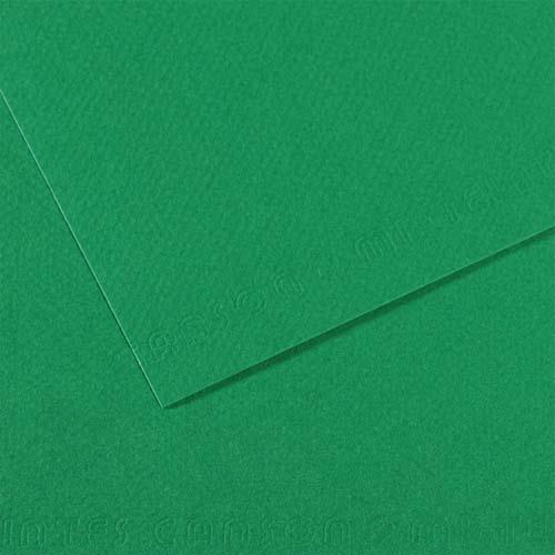 [445724] CANSON Feuille MI-TEINTES® 50X65 160g vert billard 575