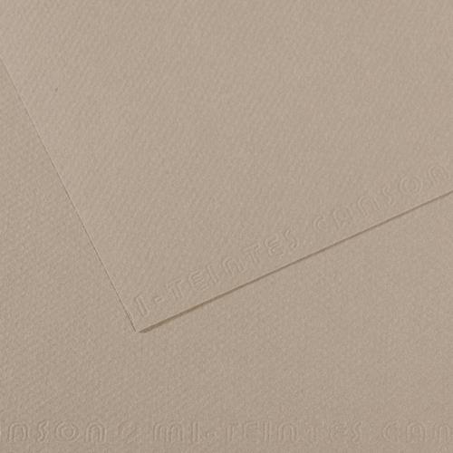 [446174] CANSON Feuille MI-TEINTES® 50X65 160g gris flanelle 122