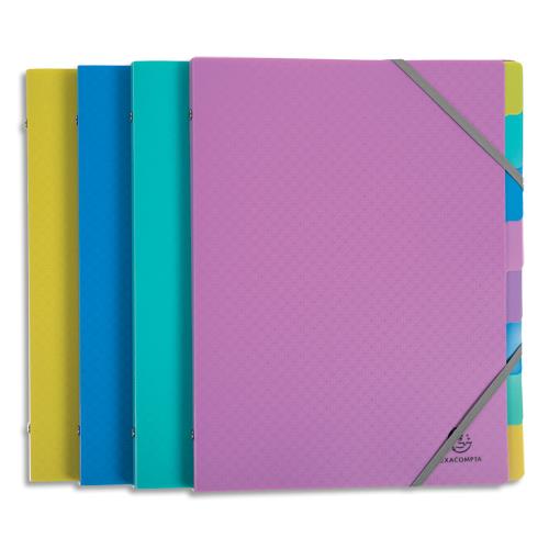 [449253] EXACOMPTA Trieur 8 compartiments FOREVER YOUNG PP recyclé 5/10e. Format A4. Coloris assortis fun