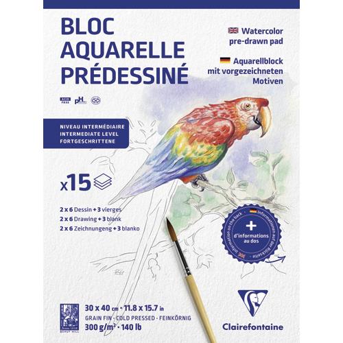 [454272] CLAIREFONTAINE Bloc prédessiné ANIMAUX 15F (2Fx6 designs) 300g 30x40cm