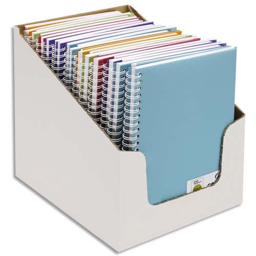 [274367] CANSON Carnets de notes 100 pages 120g 14,8x21cm 5 couleurs assorties. Couverture PP(en boîte présentoir)