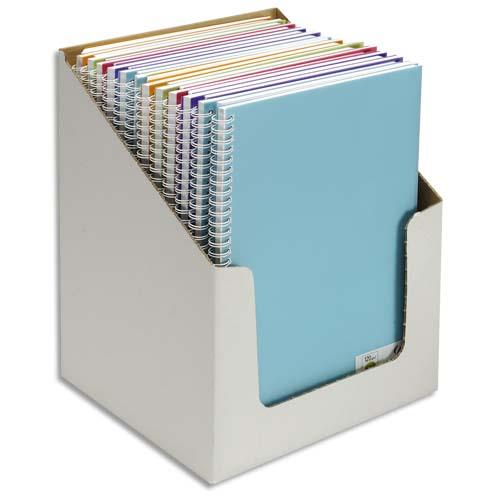 [274372] CANSON Carnets de notes 100 pages 120g 21x29,7cm. Couverture PP assorties (en boîte présentoir)