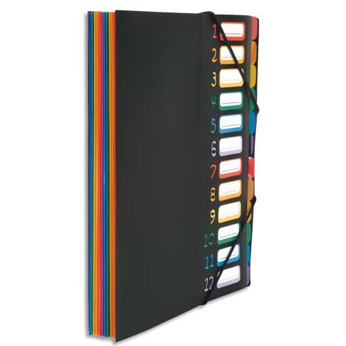 [458013] VIQUEL Trieur vertical RAINBOW 12 compartiments à soufflet en polypro 5/10, Noir intérieur multicolore